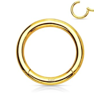 14K CONCH HUGGIE